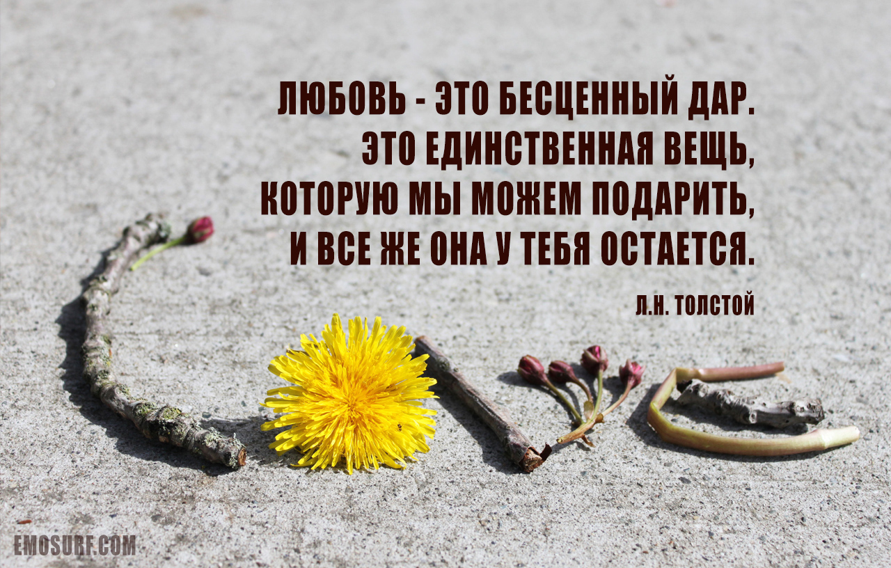 Раскраски лучшего качества67